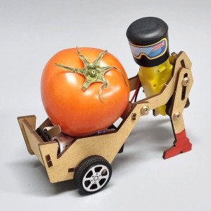 »óǰ ¼¶³×ÀÏ »óǰ ¼¶³×ÀÏ