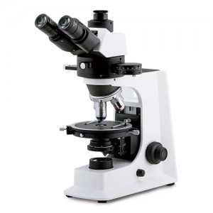 »óǰ ¼¶³×ÀÏ »óǰ ¼¶³×ÀÏ