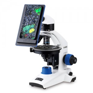 »óǰ ¼¶³×ÀÏ »óǰ ¼¶³×ÀÏ