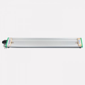 ��ǰ ������