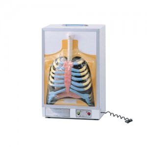 »óǰ ¼¶³×ÀÏ »óǰ ¼¶³×ÀÏ