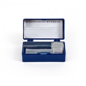 »óǰ ¼¶³×ÀÏ »óǰ ¼¶³×ÀÏ