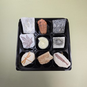 ��ǰ ������