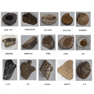 ��ǰ ������