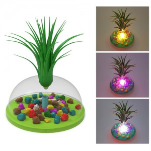 »óǰ ¼¶³×ÀÏ »óǰ ¼¶³×ÀÏ