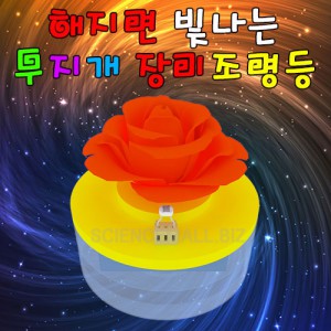 ǰ̹