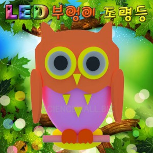 »óǰ ¼¶³×ÀÏ »óǰ ¼¶³×ÀÏ