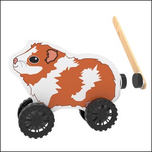 ��ǰ ������