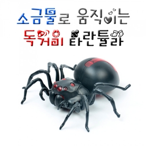 ǰ 