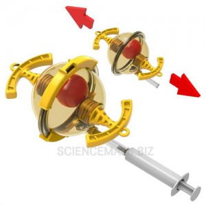 »óǰ ¼¶³×ÀÏ »óǰ ¼¶³×ÀÏ