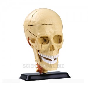 ǰ 
