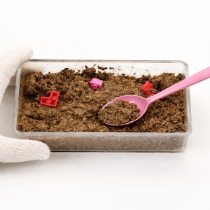 ��ǰ ������