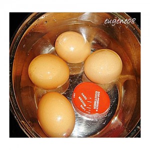 »óǰ ¼¶³×ÀÏ »óǰ ¼¶³×ÀÏ