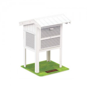 ��ǰ ������